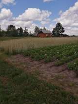 Участок 39 соток Л.П.Х.