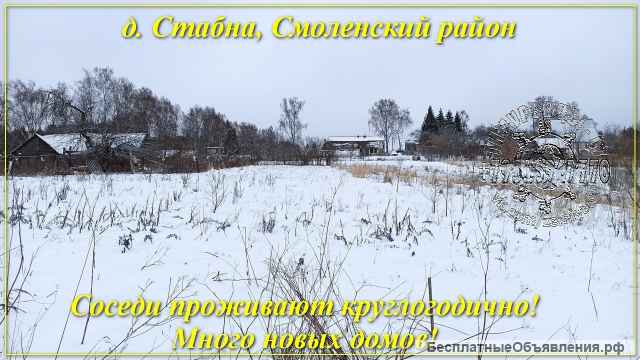Дом в д. Стабна, на 45 соток, со всеми коммуникациями, окруженный нетронутой природой