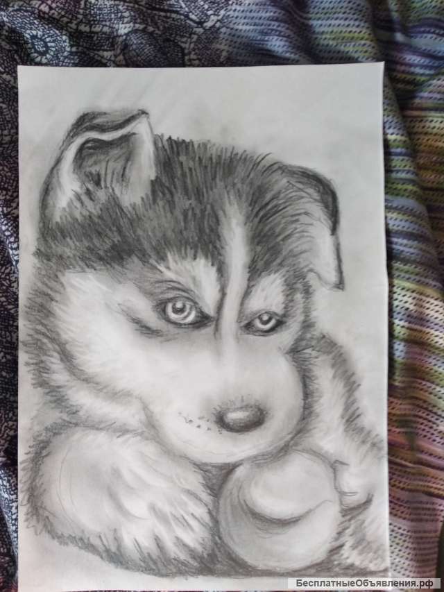 Рисую на заказ