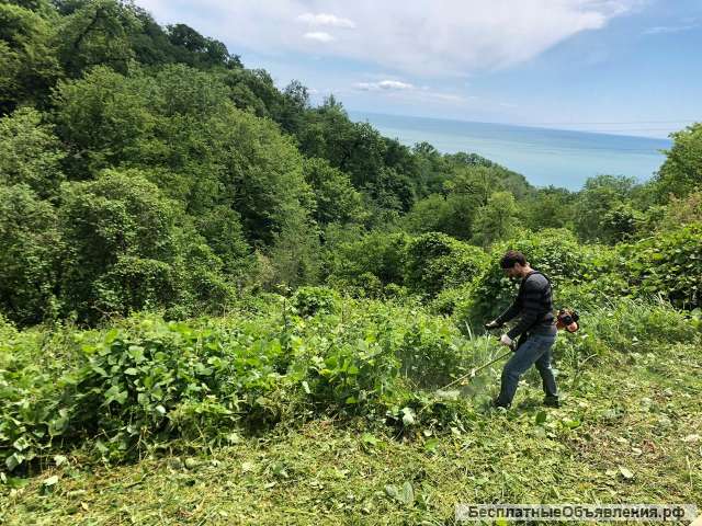 Расчистка участков