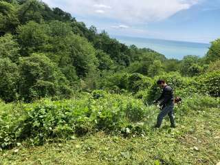 Расчистка участков