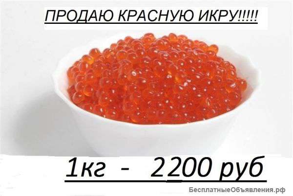 Красная икра