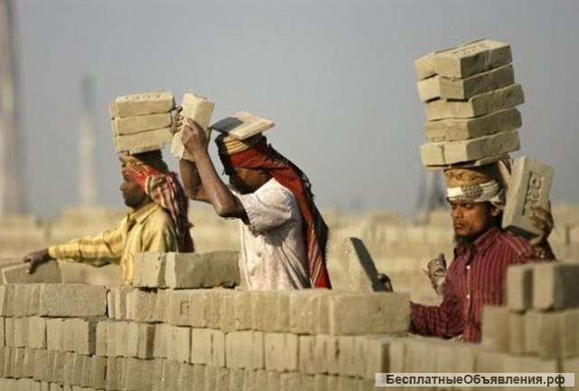 Бригадир строителей