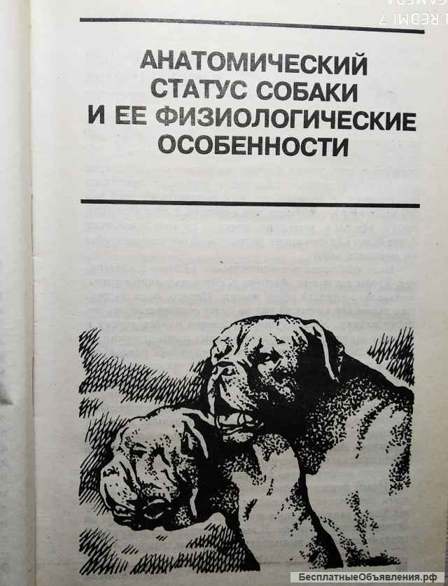 Книга Всё о собаках