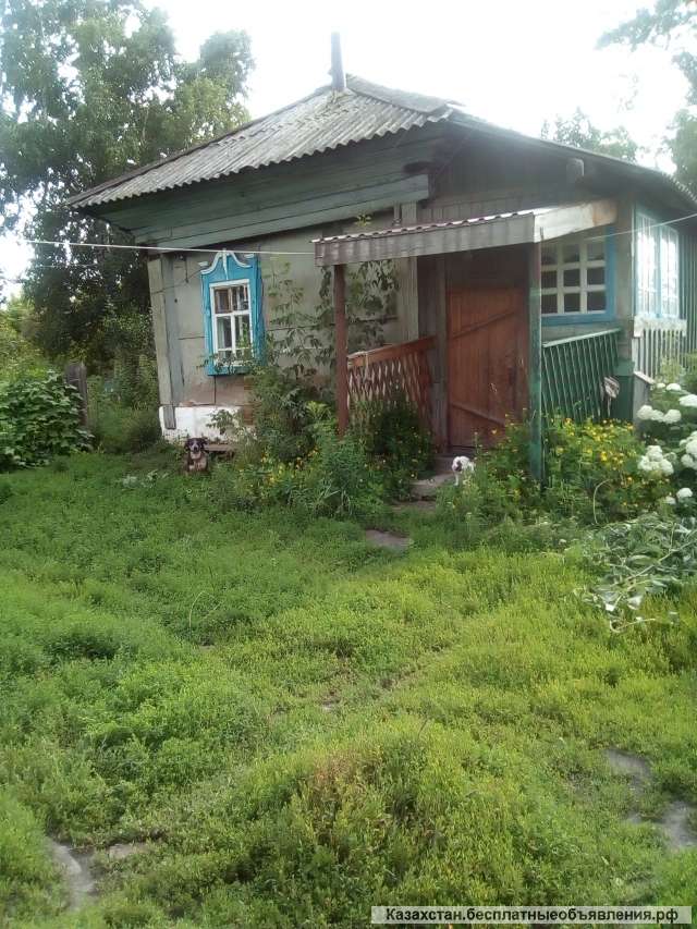 Жилой дом с пасекой Алтайский край Россия