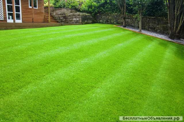 Поставка плодородного грунта для озеленения