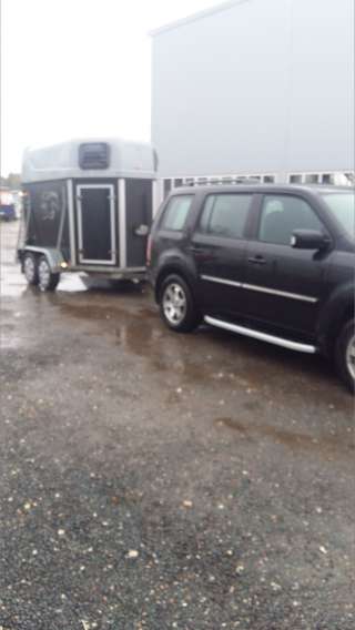 Перевозка лошадей Москва, МО, РФ, Зеленоград