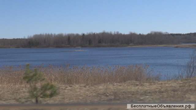 Участок 15 соток Валдай Новгородской обл