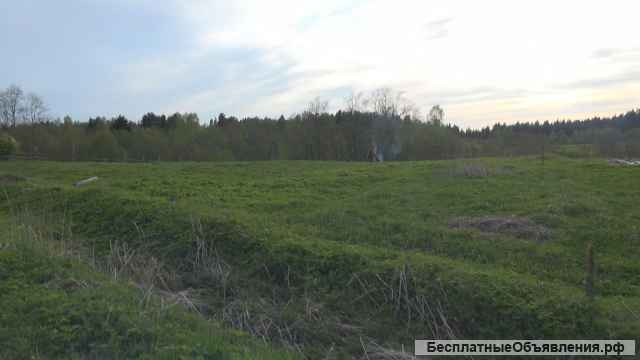 Участок 15 соток Валдай Новгородской обл