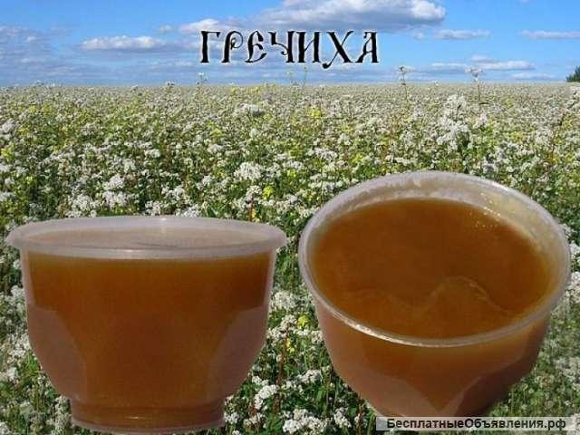 Мёд алтайский Гречиха Тёмное и Светлое разнотравие