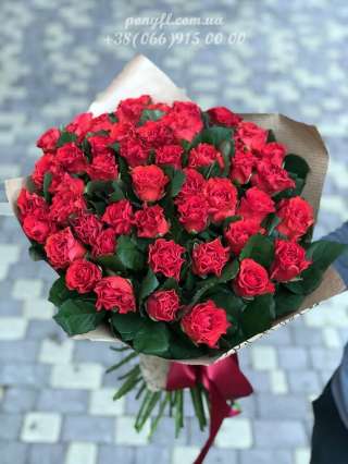 51 красная роза Эль Торо 50 см