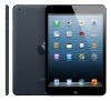 Apple iPad mini 16Gb Wi-Fi Black