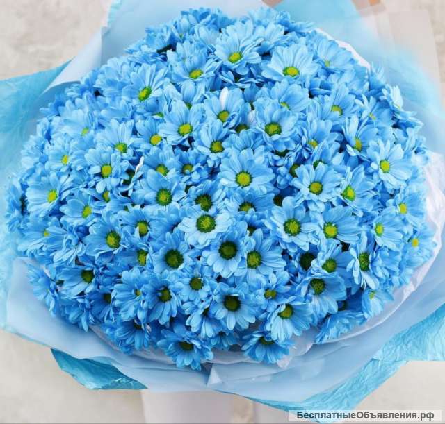 Букеты из милых ромашек