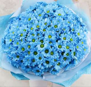 Букеты из милых ромашек