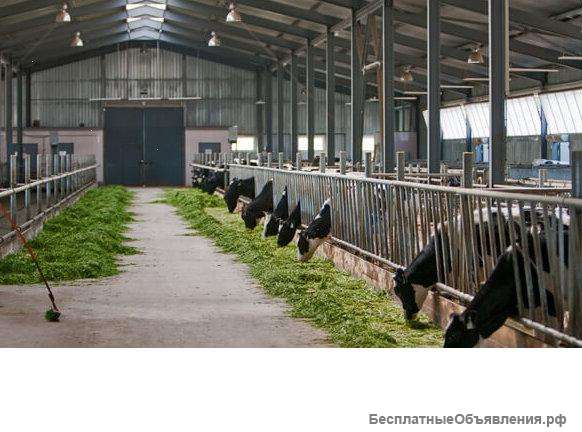 Работа есть