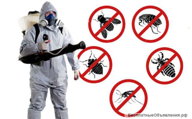 Дезенсекция