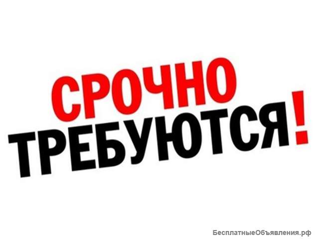Админиcтpатор интернeт-проeктa