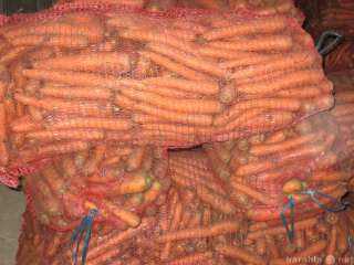 Морковь оптом от ФХ