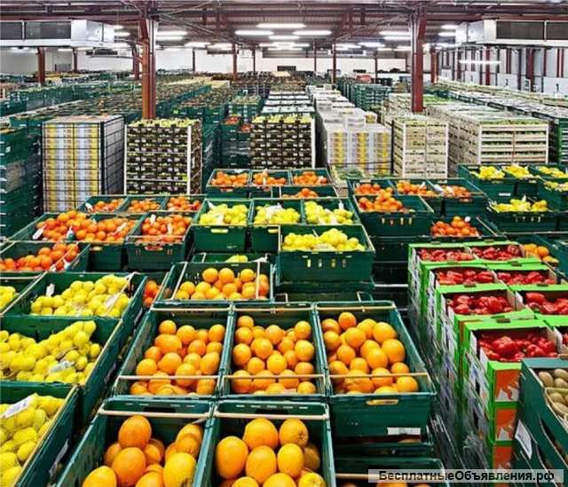 Оптовая продажа свежих овощей и фруктов