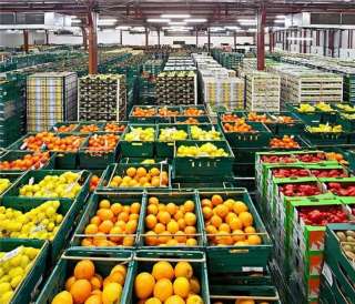 Оптовая продажа свежих овощей и фруктов