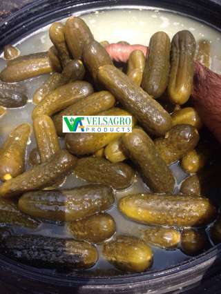 Производство соленые огурцы. Индия