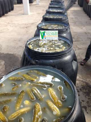 Соленые Огурцы от производителя