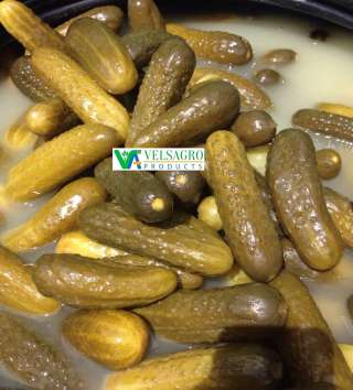 Огурцы соленые оптом на заказ