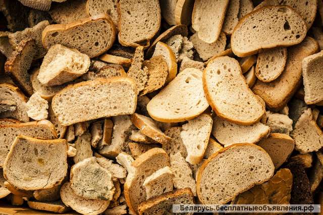 Хлеб для корма животным