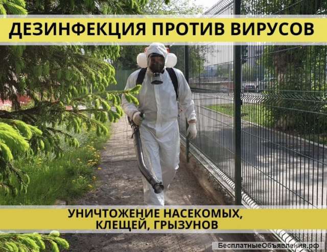 Дезинфекция, дератизация, дезинсекция