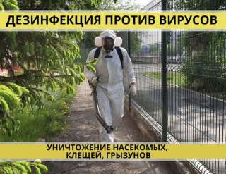 Дезинфекция, дератизация, дезинсекция