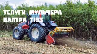 Расчистка с/х полей, расширение ЛЭП, аренда лесной и с/х техники