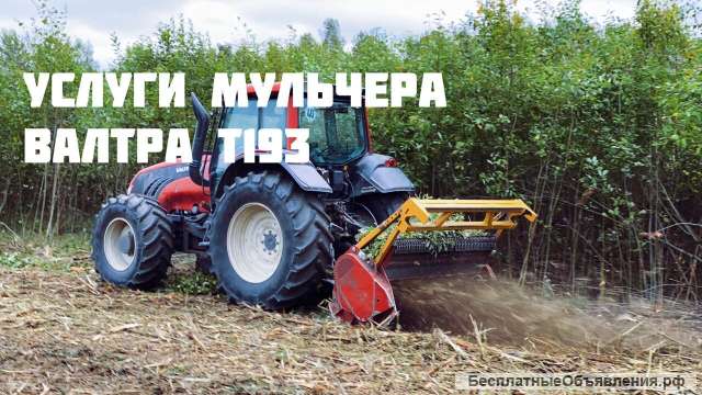 Аренда и услуги мульчера по расчистке