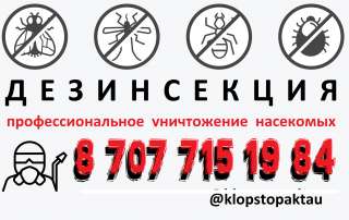 Профессиональное истребление насекомых Актау области