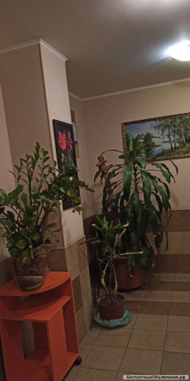 Сдам двухкомнатную квартиру