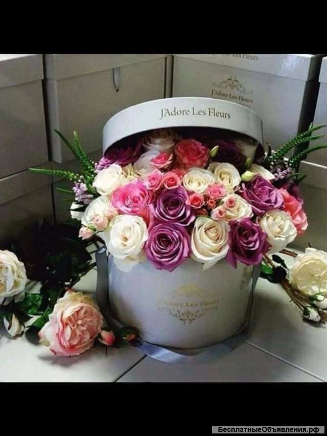 Поздравления в стихах и песни