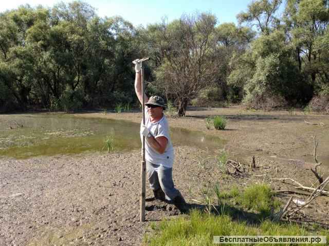 Даем заключение о качестве донных илов и сапропеля для производства продукции