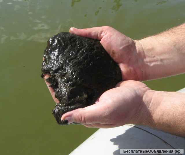 Даем заключение о качестве донных илов и сапропеля для производства продукции