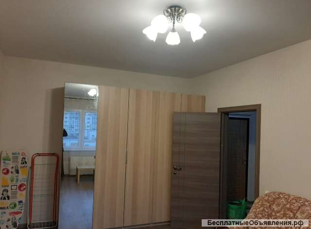 Однокомнатная квартира в д. голубое на длительный срок для рф