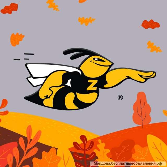 Ia un credit doar cu buletinul și scapă de datorii