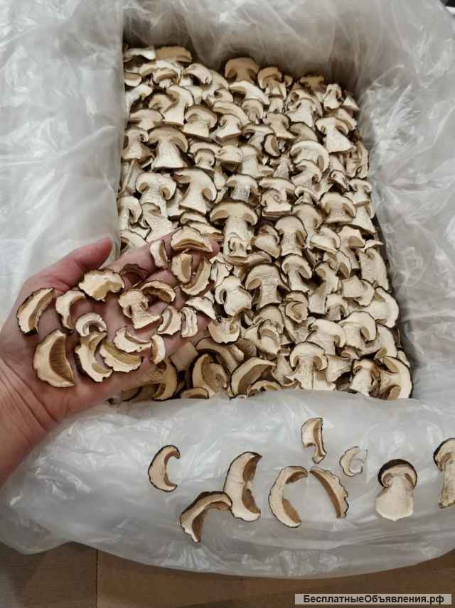 Грибы белые сушеные