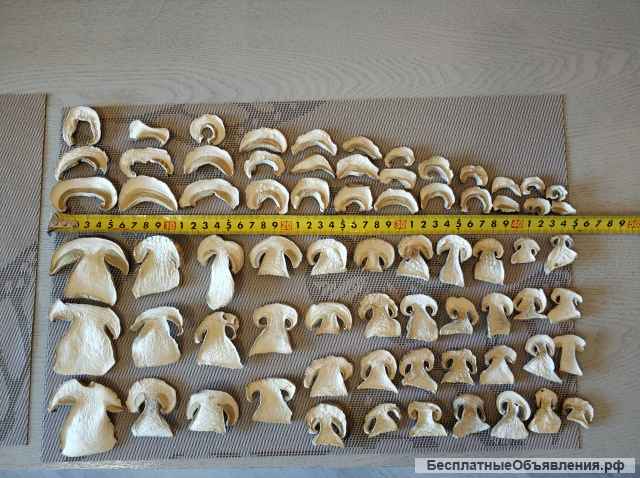 Грибы белые сушеные