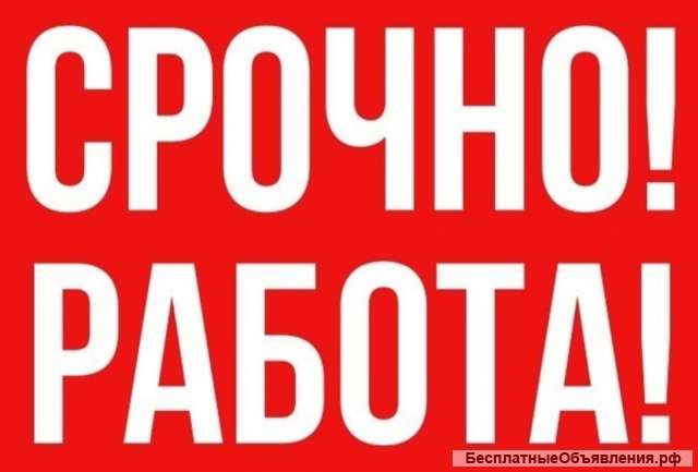 Грузчик с ЕЖЕДНЕВНЫМИ ВЫПЛАТАМИ