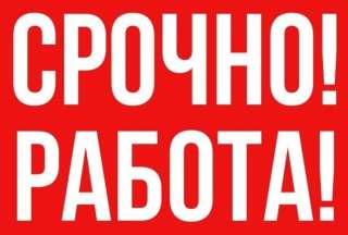 Грузчик с ЕЖЕДНЕВНЫМИ ВЫПЛАТАМИ