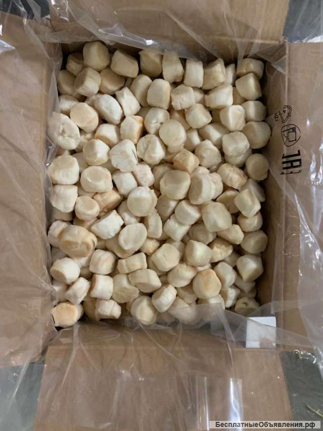 Филе морского гребешка