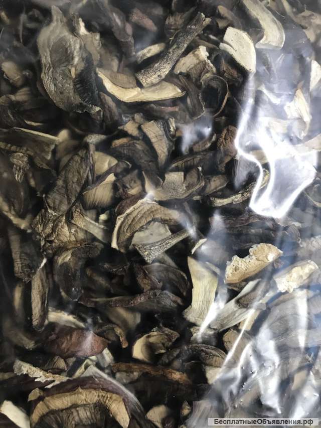 Сухой подосновик