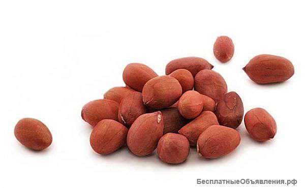 Арахис оптом