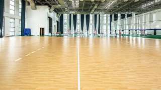 Спортивное ПВХ покрытие RECREATION 30 WOOD, для школ