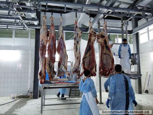 Подвесной трубчатый путь для линии убоя