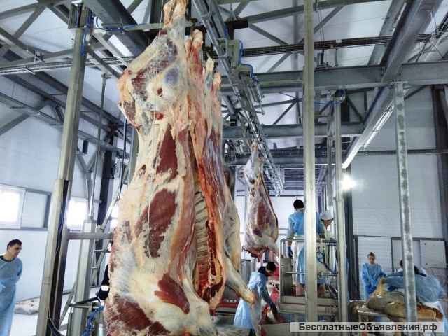 Подвесной трубчатый путь для линии убоя