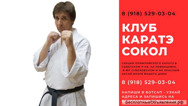 Каратэ для детей Ростов Красный Аксай